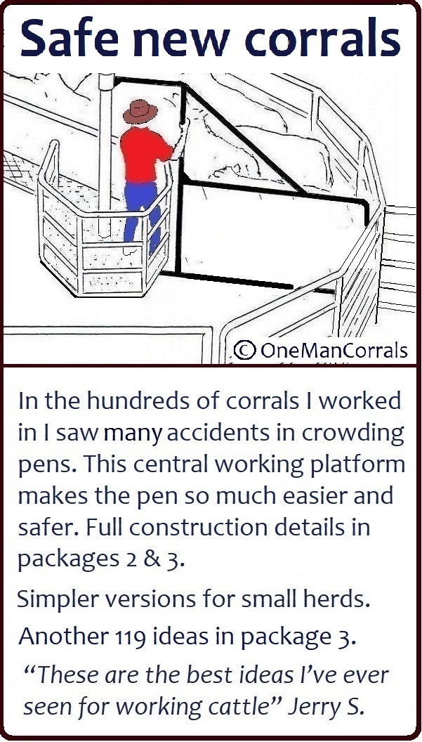 Cattle Pen Designs for Smooth Cattle Handling, 12 tips by One-Man Corrals -  Issuu